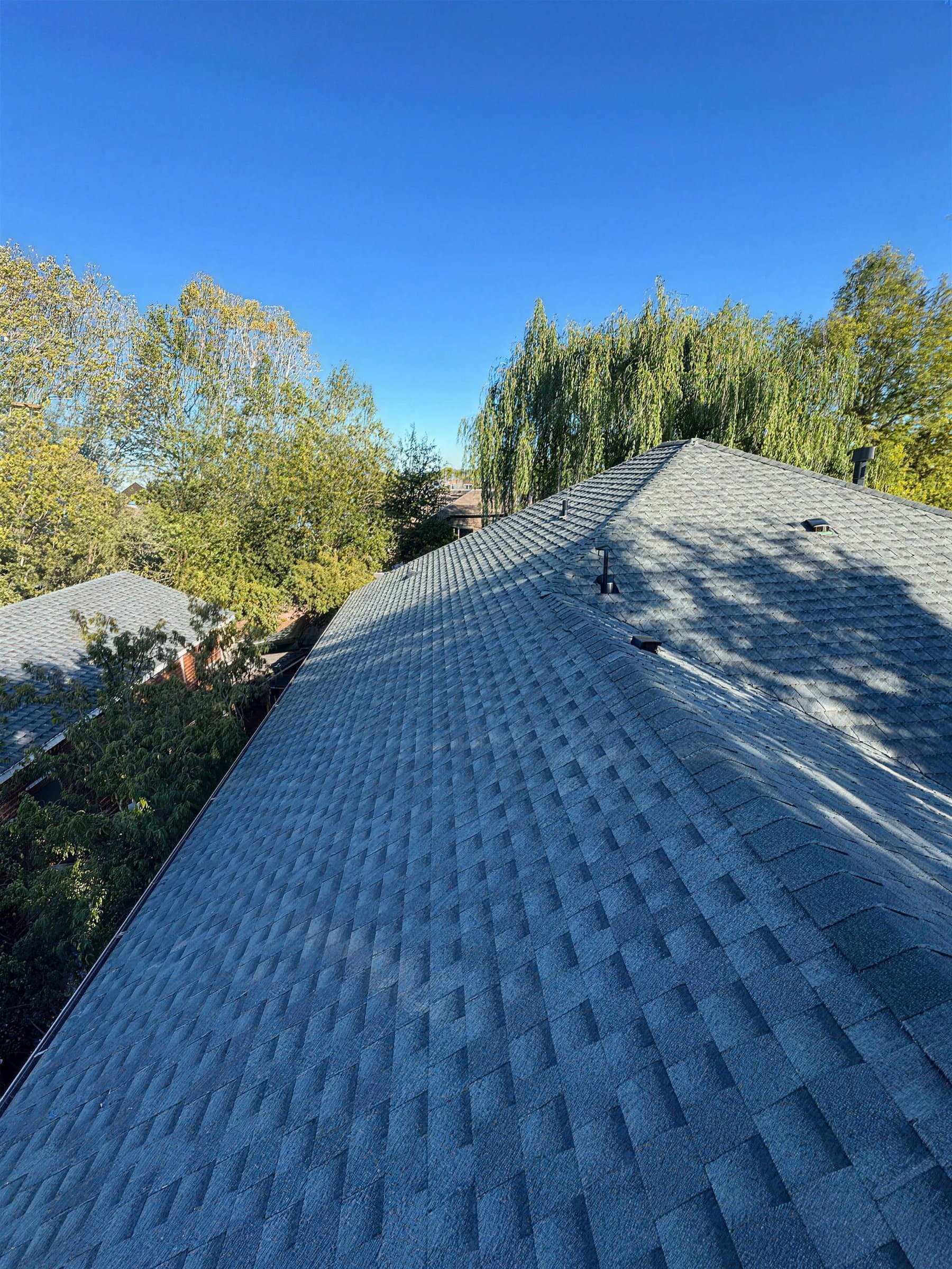 New gray shingles running up to the ridge of a roof, with trees behind